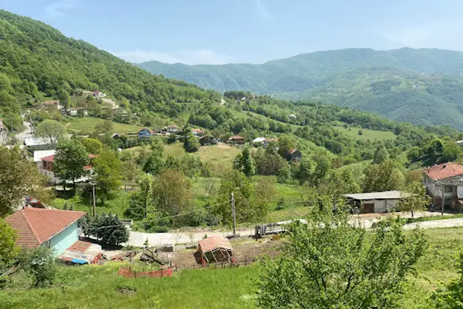 Camidüzü Mahallesi Cami kapak fotoğrafı