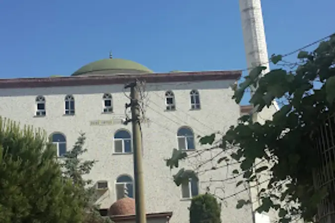 Nenehatun Mahallesi Nenehatun Cami kapak fotoğrafı