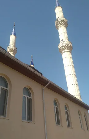 Palamut Cami kapak fotoğrafı