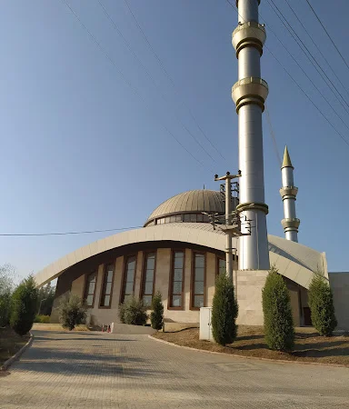 Tarsus Organize Sanayi Bölgesi Cami kapak fotoğrafı