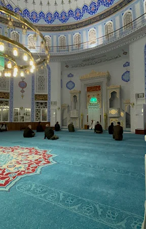 Paşamandıra Cami kapak fotoğrafı