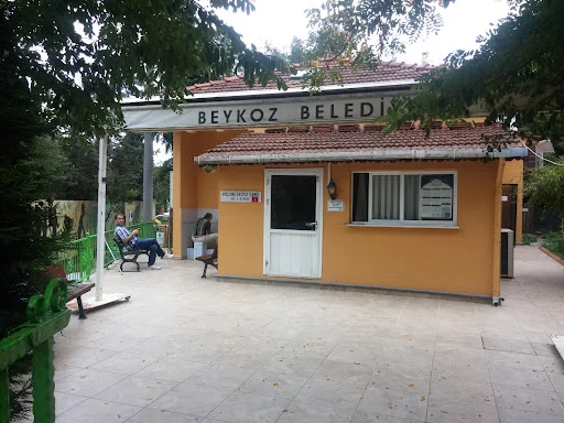 Polenezköy Mahallesi Cami kapak fotoğrafı