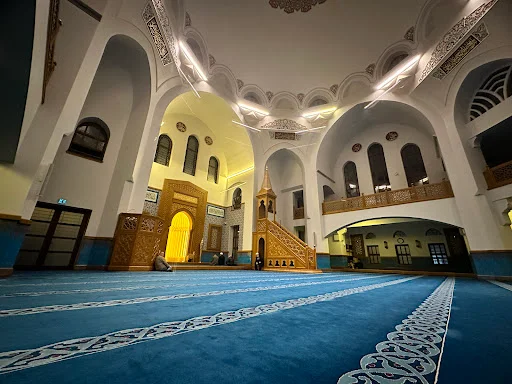 Selami Ali Fahreddin Tivnikli Cami kapak fotoğrafı