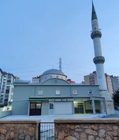 Şeyhli Mollagürani Cami kapak fotoğrafı
