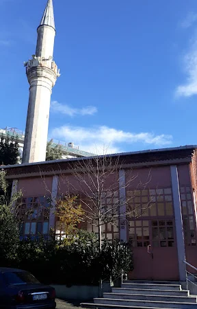Sinan Paşa Cami kapak fotoğrafı
