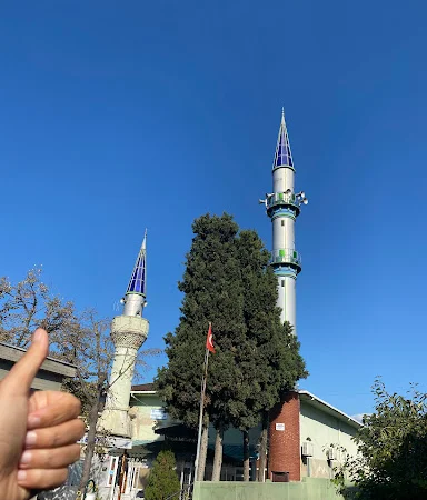 Tepeören Merkez Cami kapak fotoğrafı
